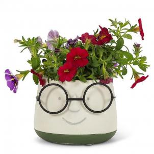 Set of 12 Face With Glasses Planter
