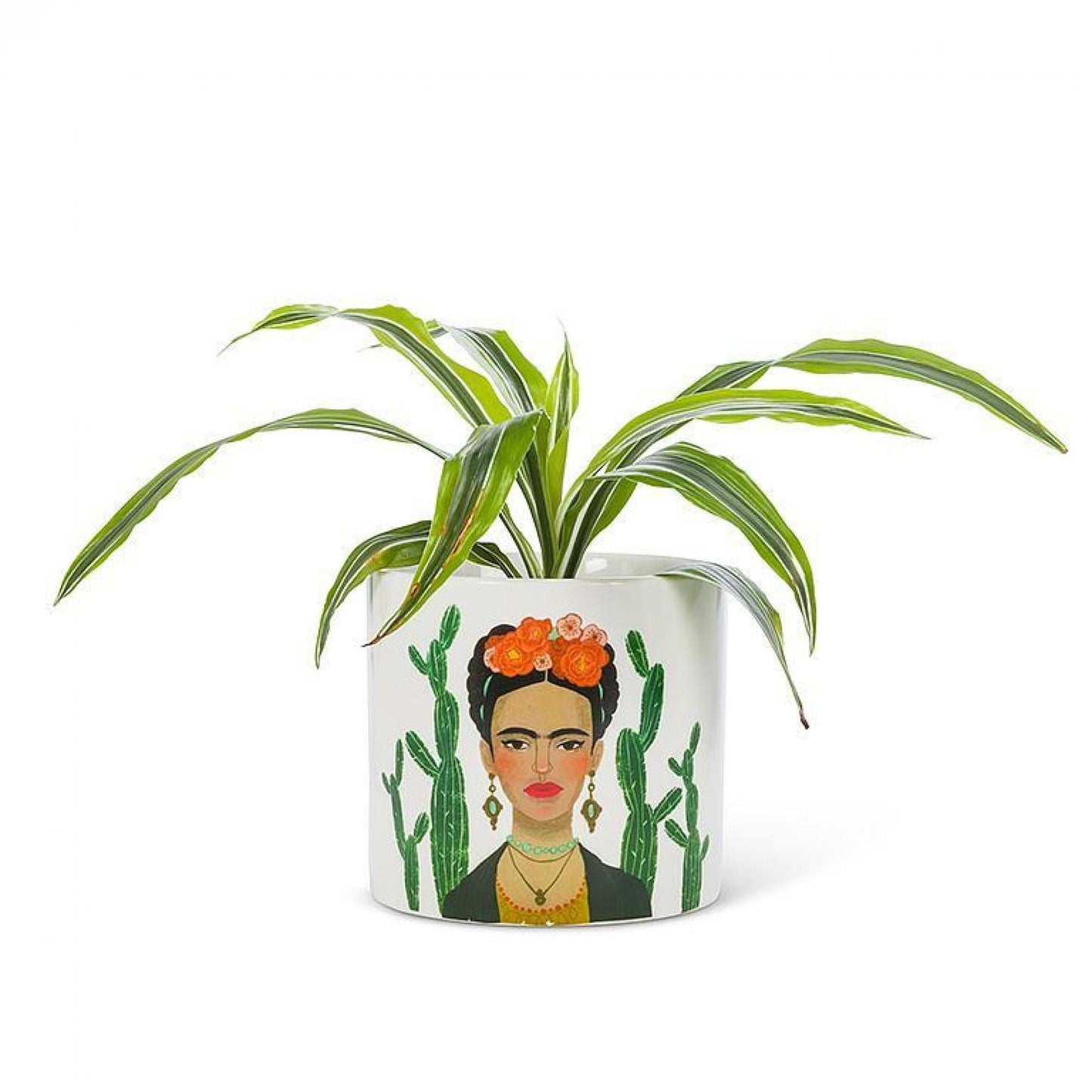 Set of 12 Lady & Cactus Planter