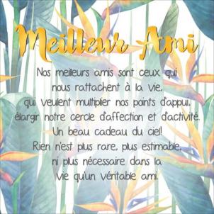 Led Lit With French Text - Meilleur Ami Block Sign