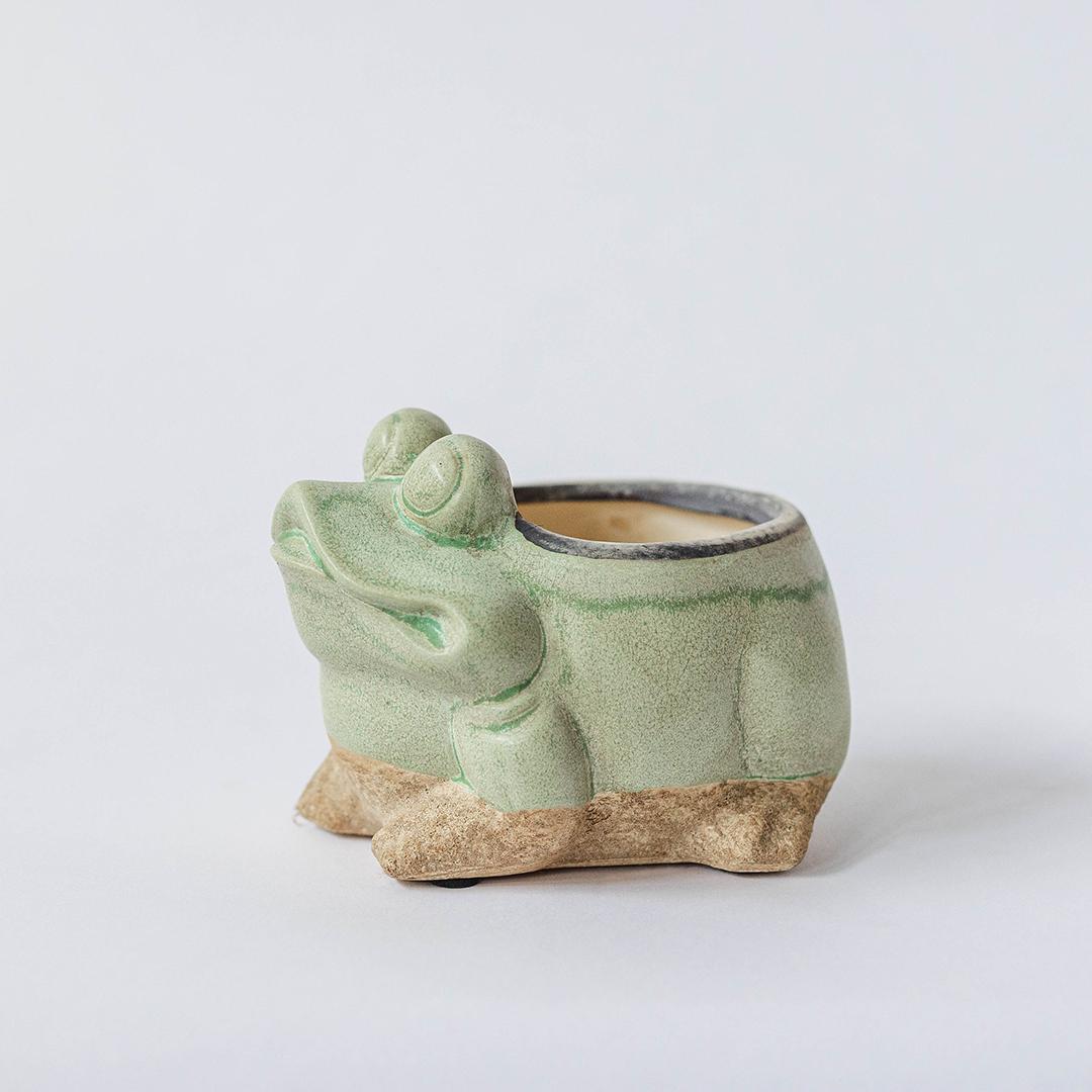 Light Green And Beige Frog Planter