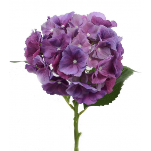 Natural Touch Purple Hydrangea Artificial Flower