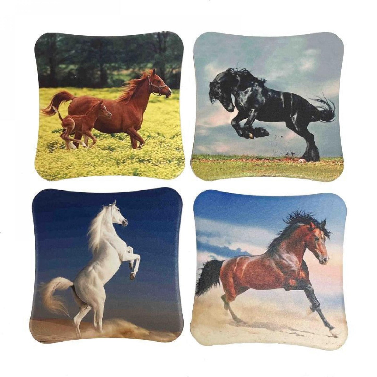 Set Of 4 Assorted Horses Coasters