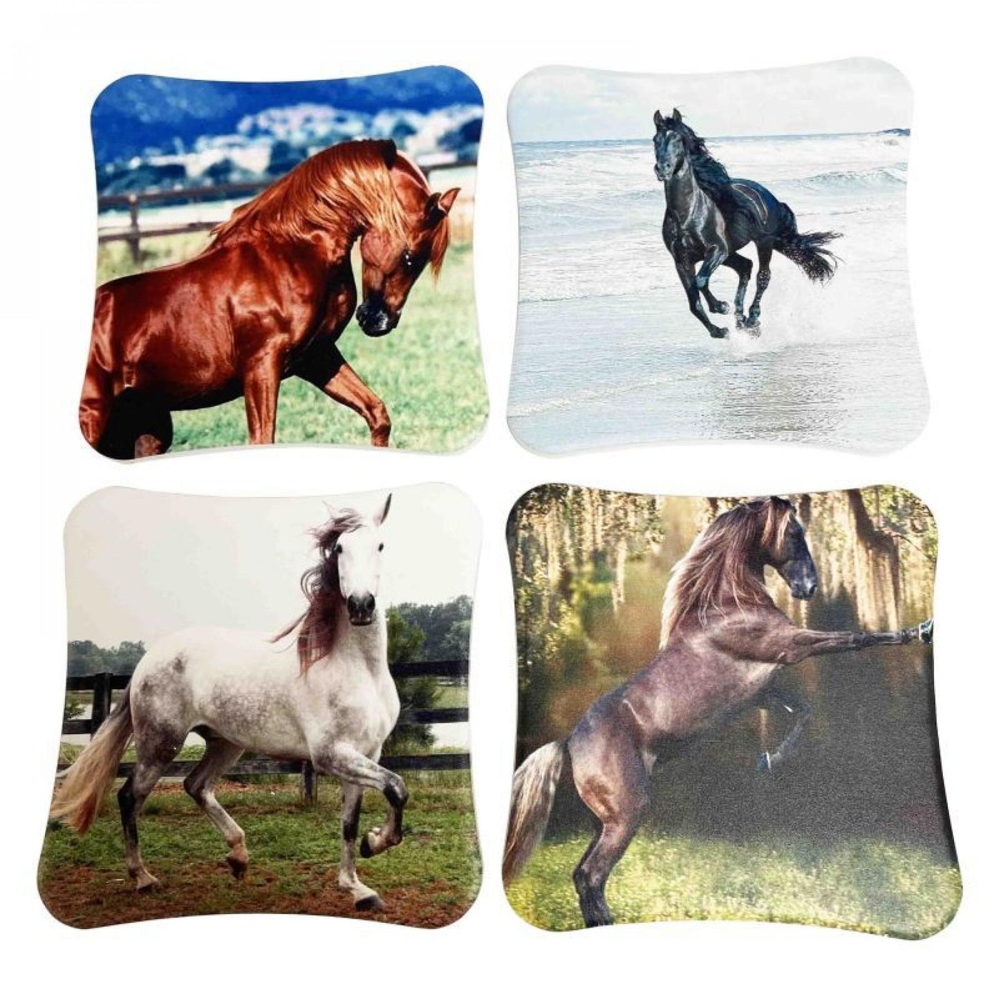 Set Of 4 Assorted Horses In Motion Coasters