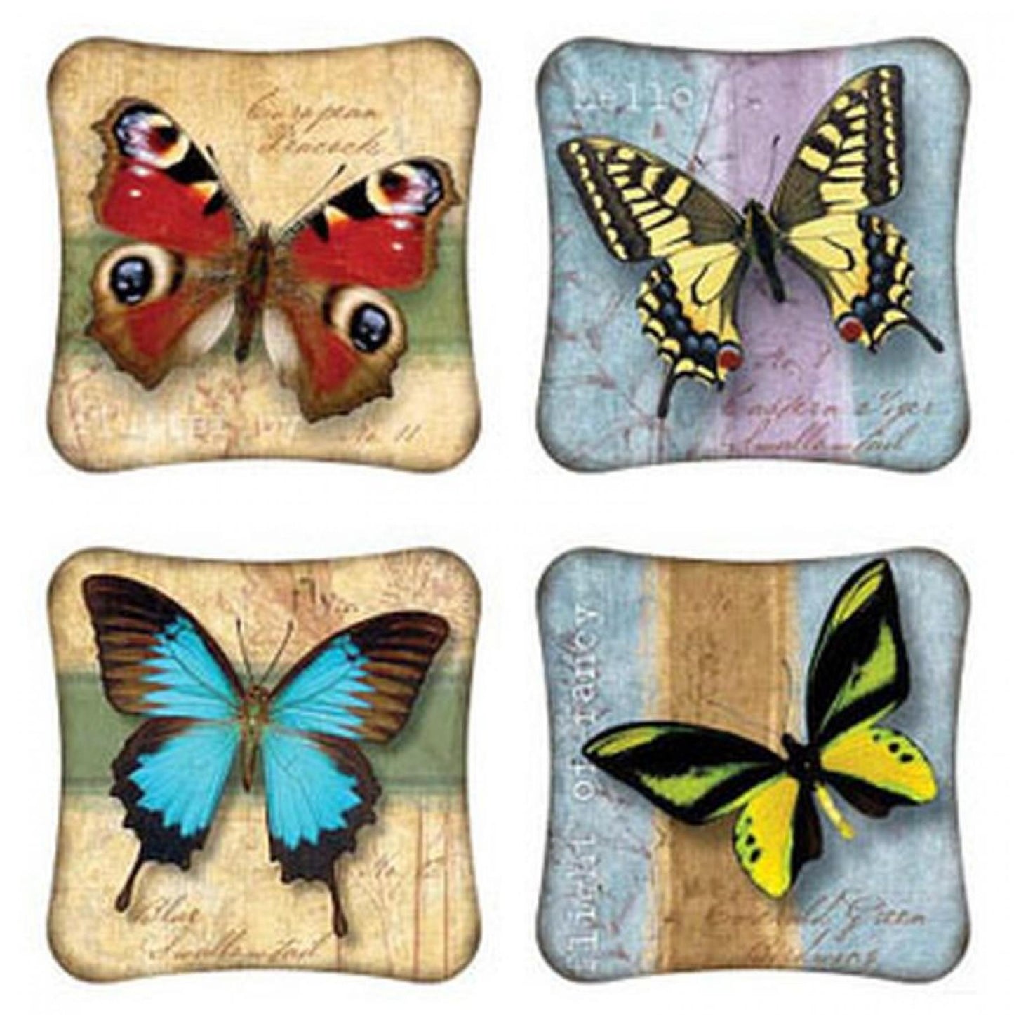 Set Of 4 Assorted Types Of Butterflies Coasters