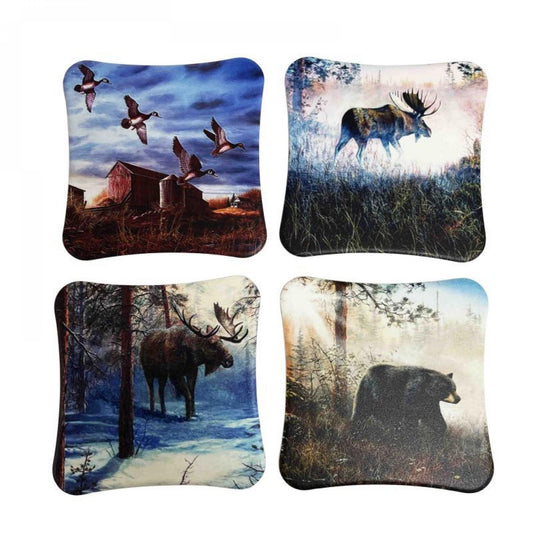 Set Of 4 Assorted Nature Scenes Coasters