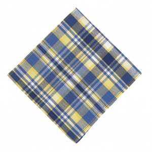 Set of  4 Bluestone Check Pattern Napkin