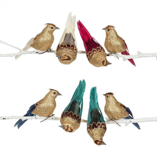 Set Of 8 Assorted Colors Feathered Tail Birds On Clips Ornament