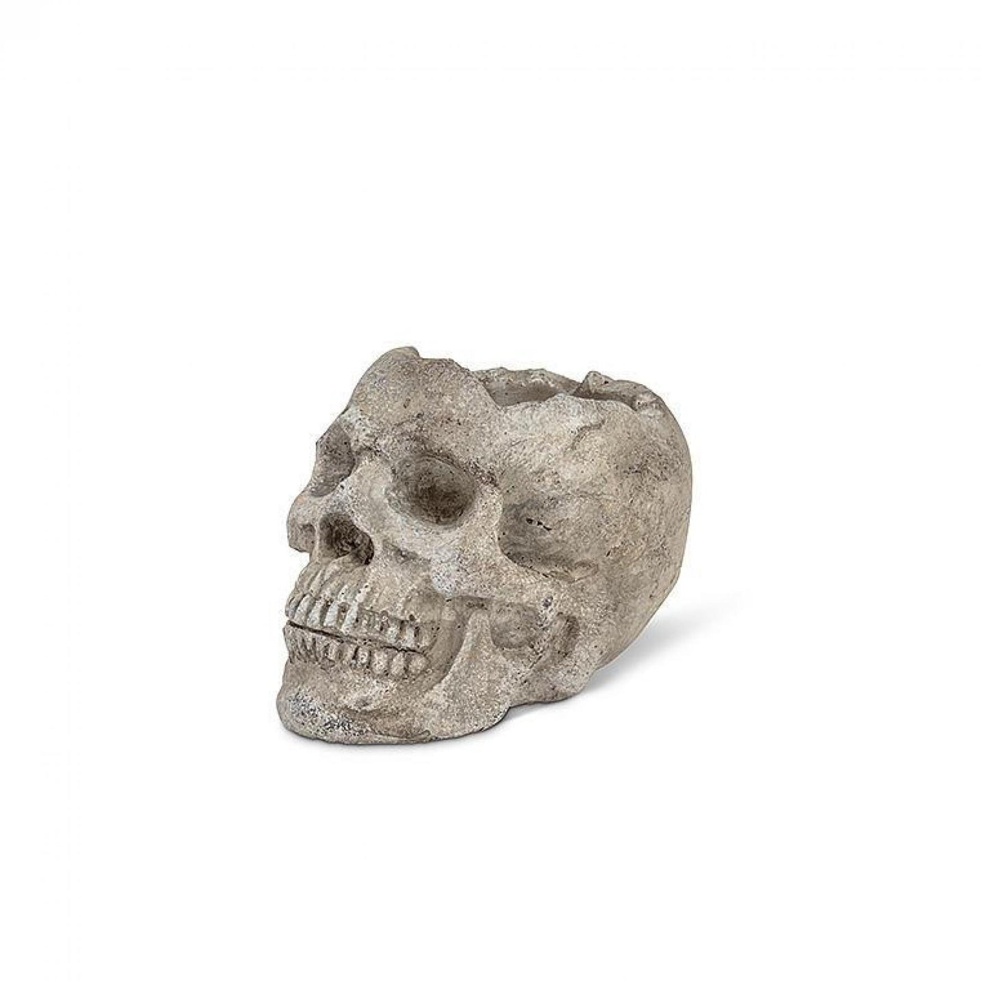 Skull Planter Or Tealite Candle Holder