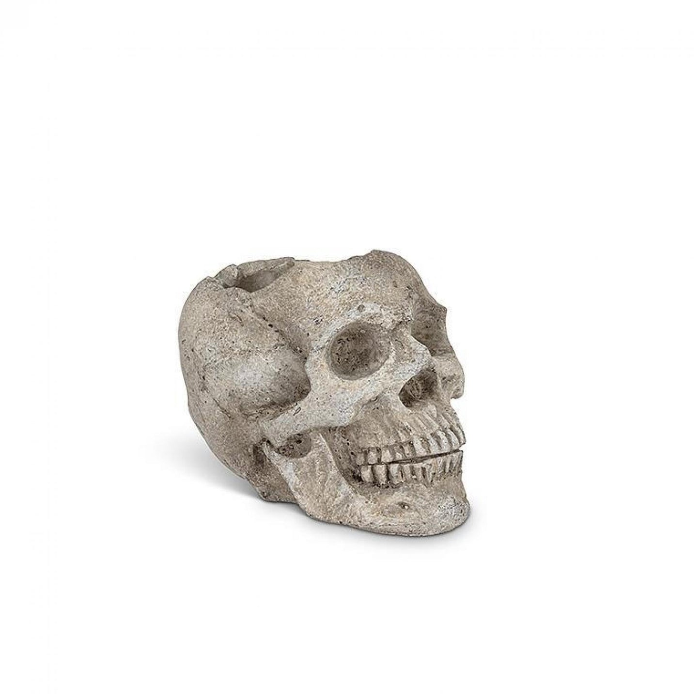 Skull Planter Or Tealite Candle Holder