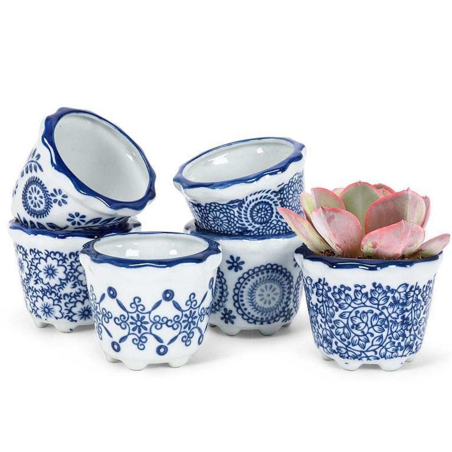 Set Of 6 Assorted Patterns Small Planter