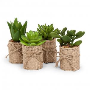 Set Of 4 Succulents In Burlap Wrap. Faux Plants And Trees