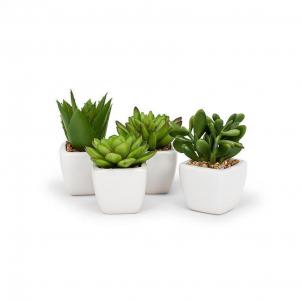 Set Of 4 Succulents In Tapered Pot Faux Plants And Trees