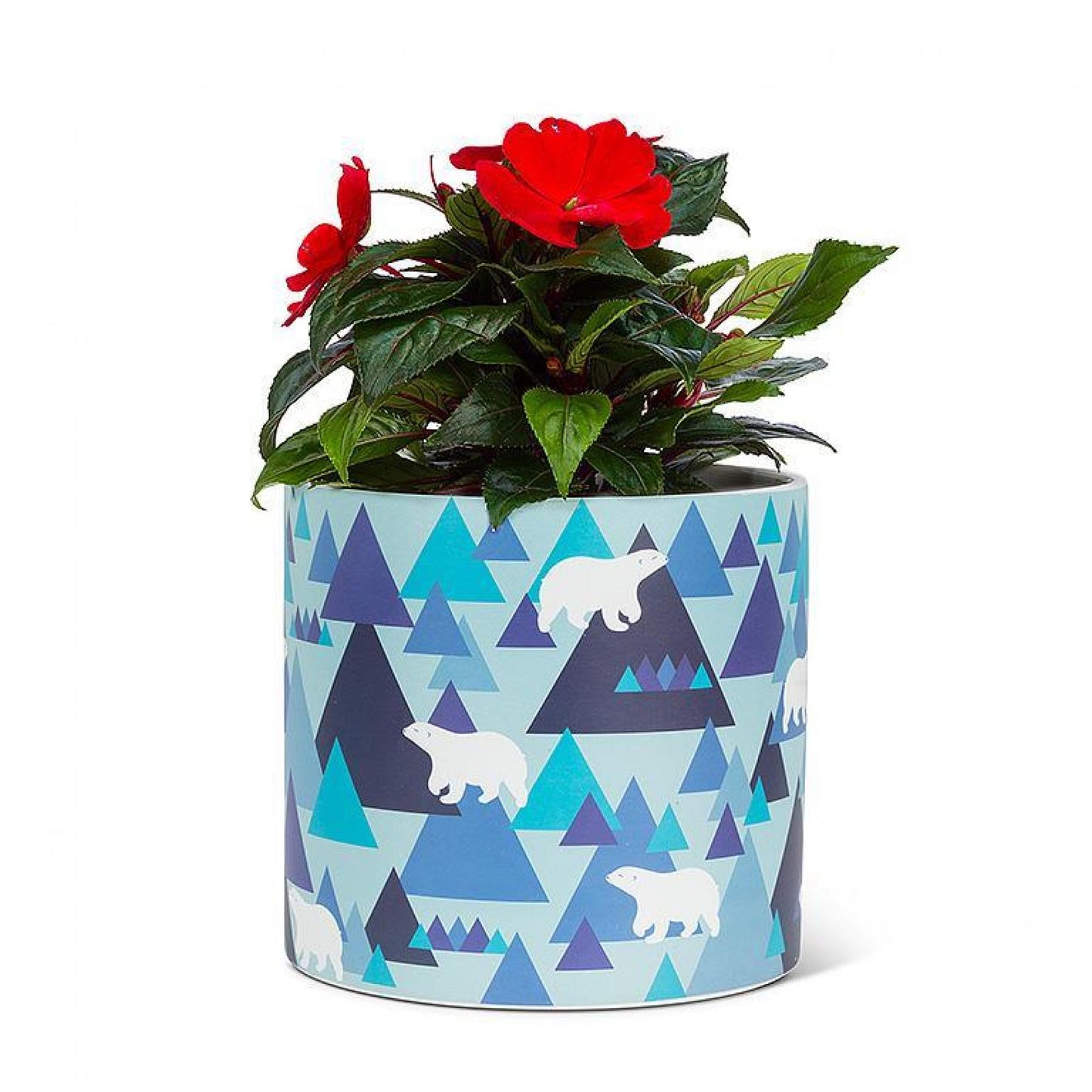 Set of 12 Modern Polar Bears Planter