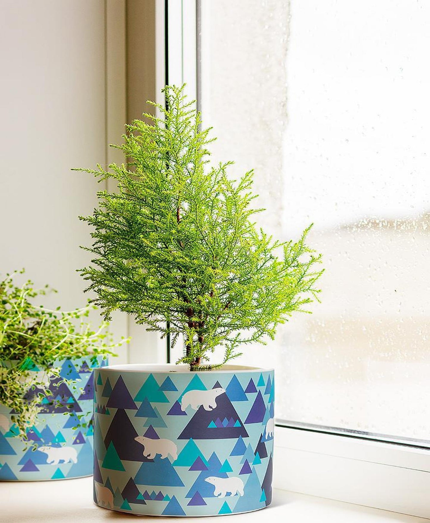 Set of 12 Modern Polar Bears Planter