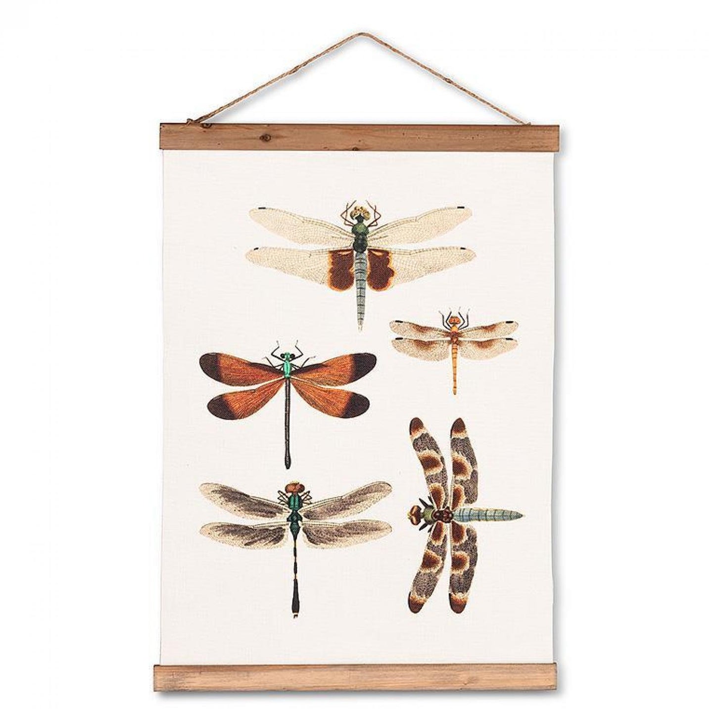 Dragonflies Scroll Wall Decor