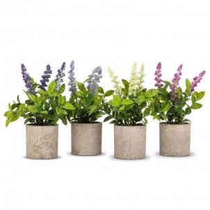 Set Of 4 Assorted Colors Spiky Flowers In Round Pots Artificial Flower