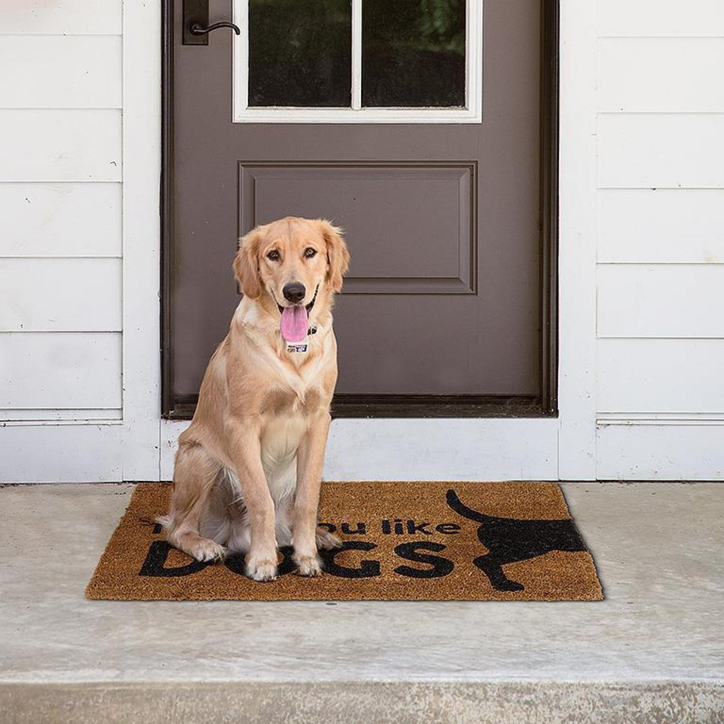 Graphic Hope You Like Dogs Doormat