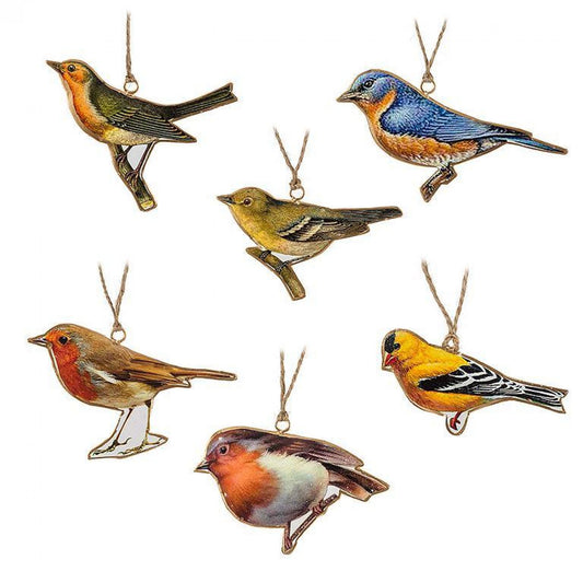 Set Of 6 Assorted Colourful Birds Ornaments