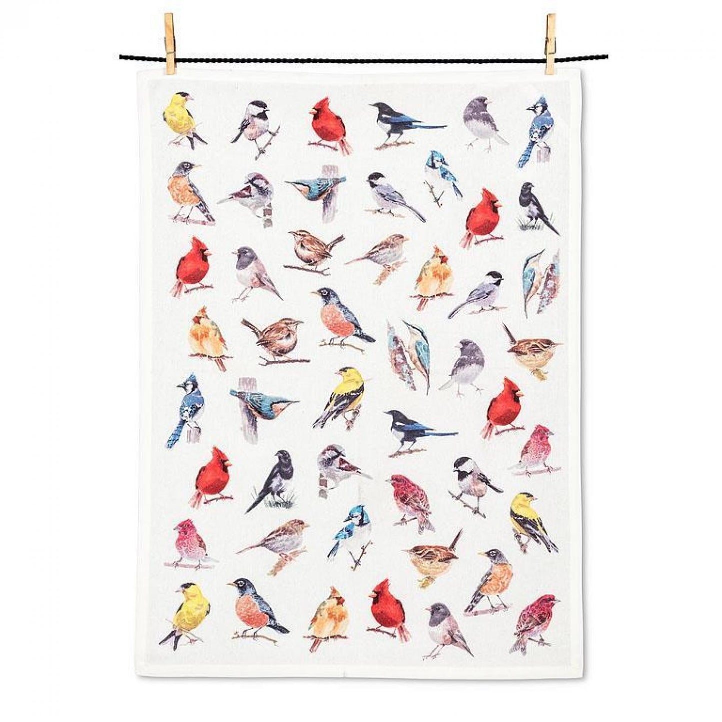 North American Birds Tea Towel