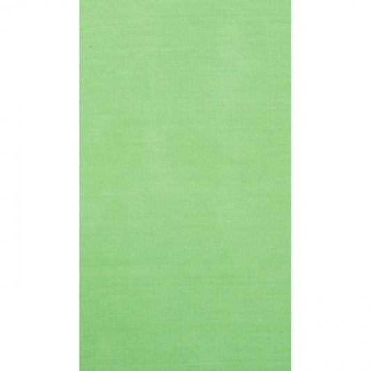 Parrot Green Tab Panel Curtain