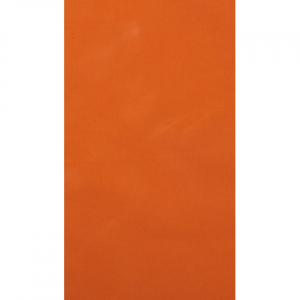 Orange Tab Panel Curtain