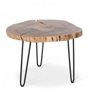 Tree Stump Top With Pin Legs Side Table