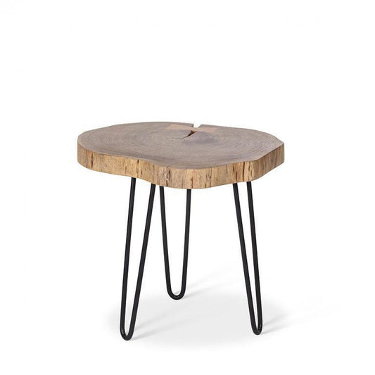 Tree Stump Pin Leg Side Table