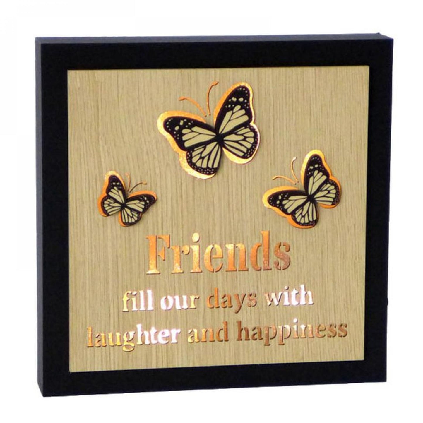 Led Lit With Butterflies And Text- Friends Plaque