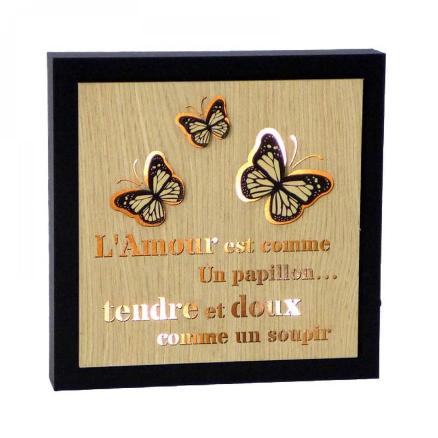 Butterflies With French Text- L’Amour Sign