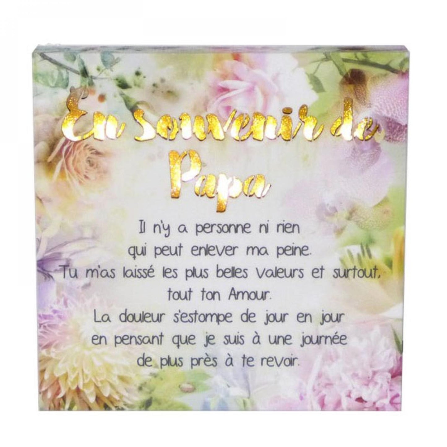 French Text- - En Souvenir De Papa Block Sign