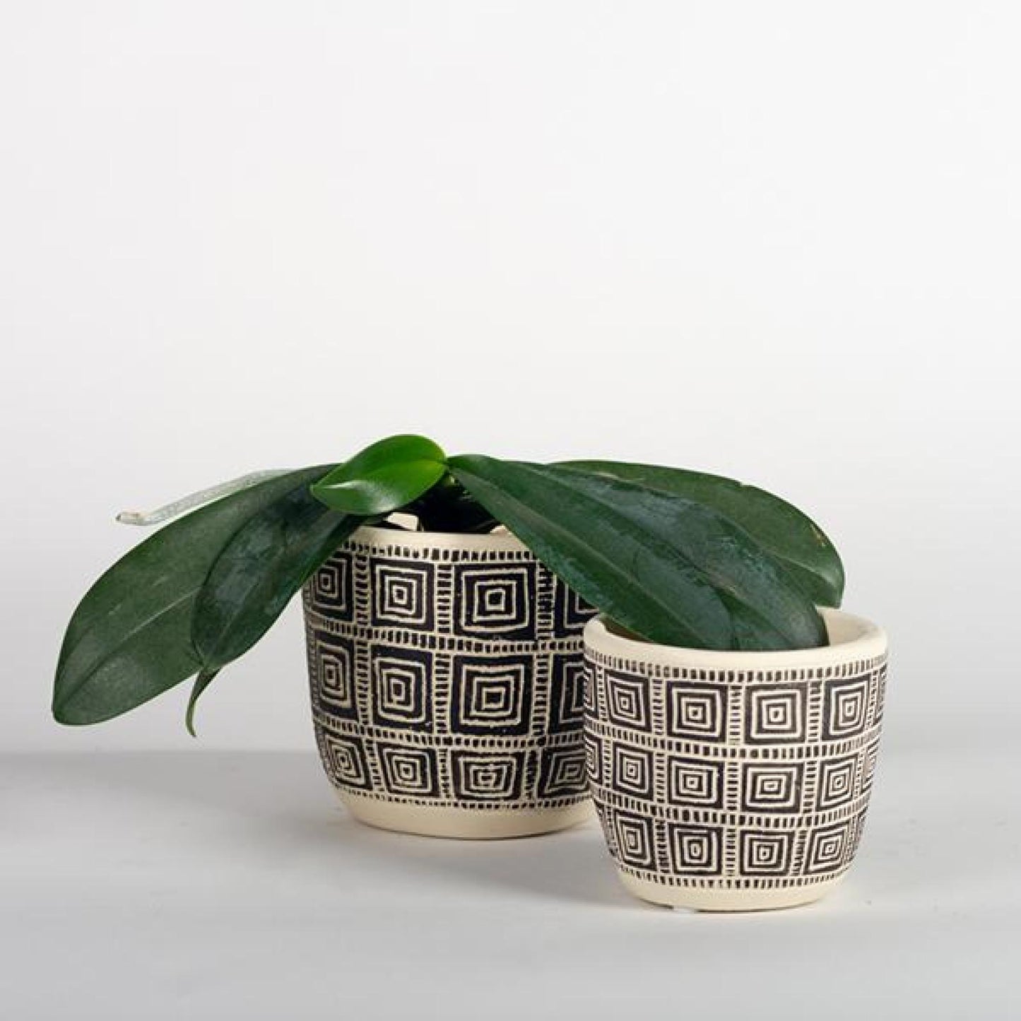 Set Of 2 Cream With Black Squares Pattern Planters