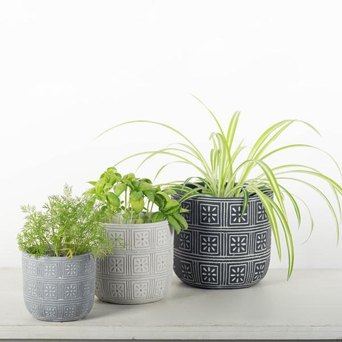 Set Of 3 Assorted Colors Patterned Planters