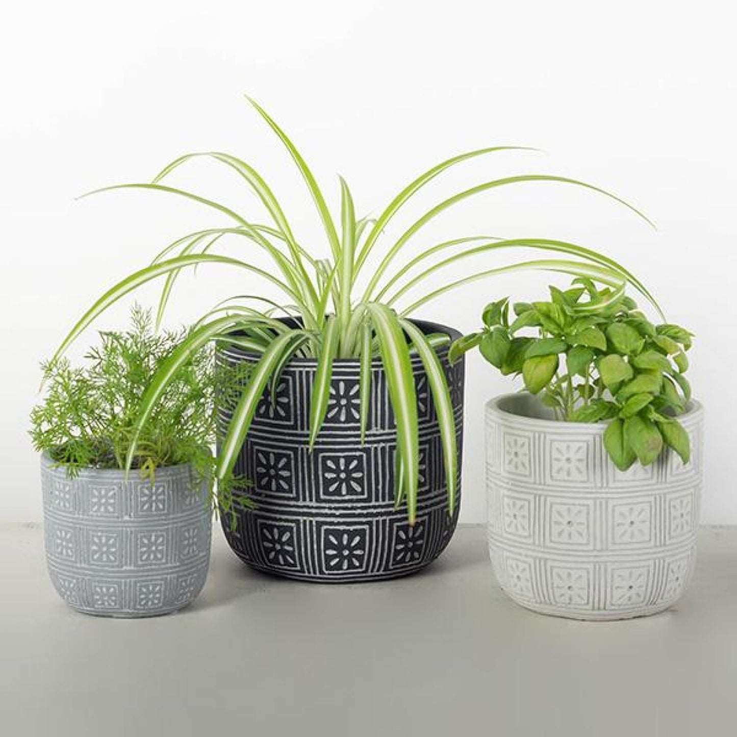 Set Of 3 Assorted Colors Patterned Planters