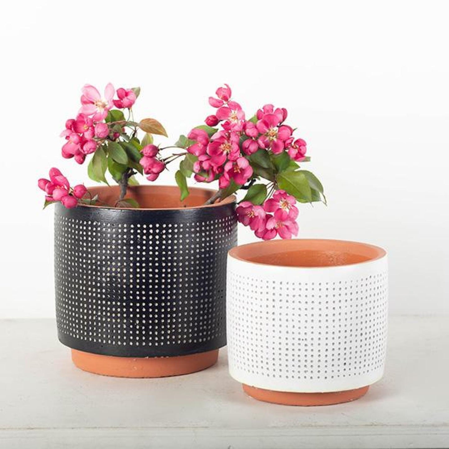 Set Of 2 Black With Beige Dots And Antique White With Beige Dots Planters