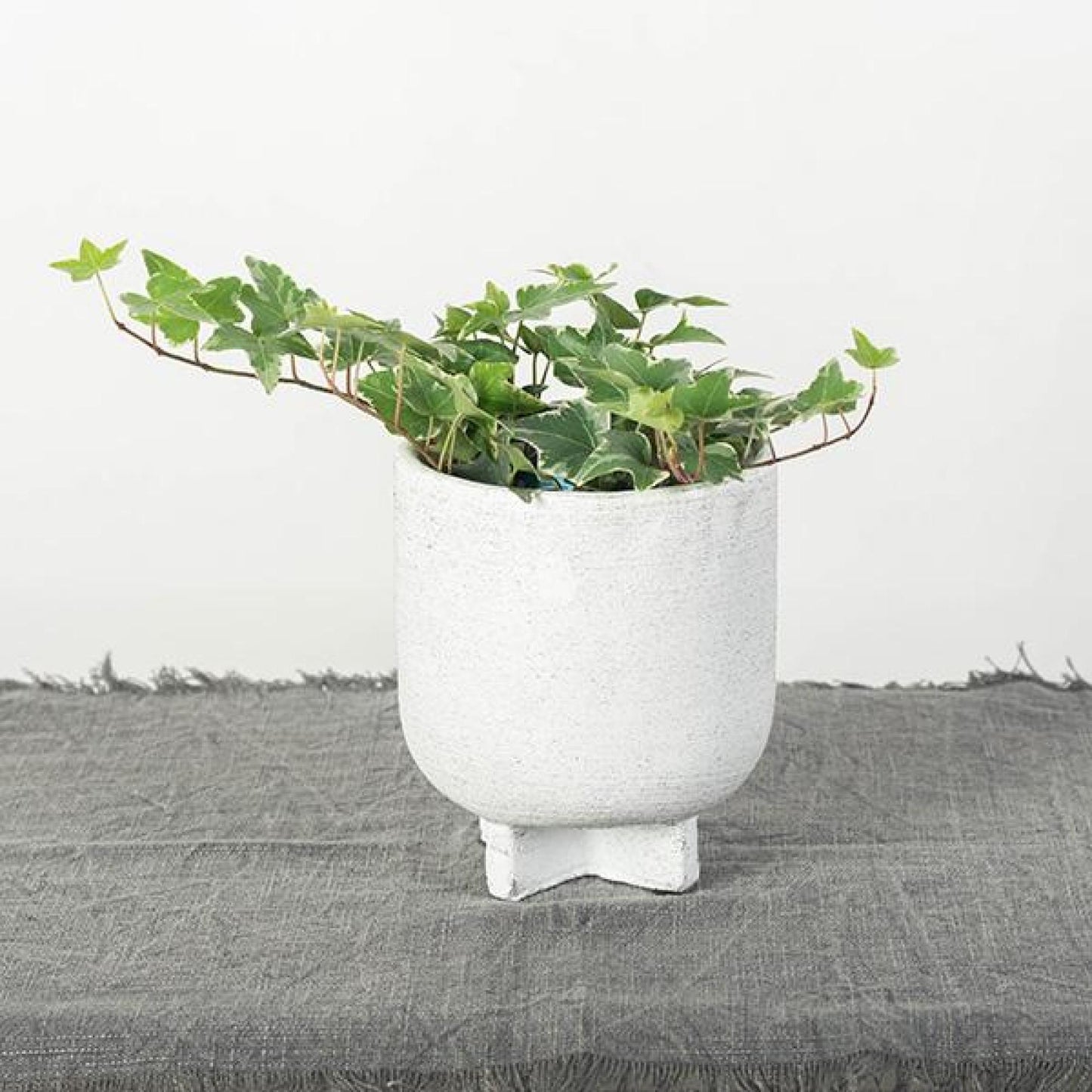 Footed Rough Matte Finish White With Black Speckles Planter