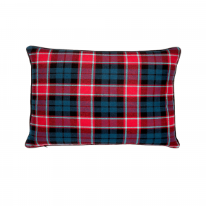 Evening Blue And Red Tartan With Feather Down Insert Pillow