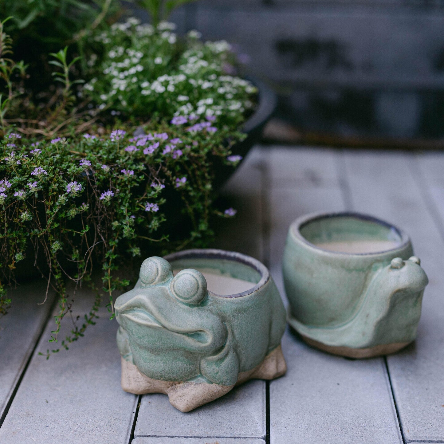 Light Green And Beige Frog Planter