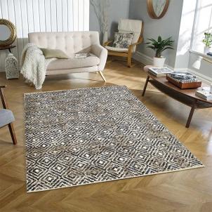 Essaouira Iii Powerloomed Indoor Rug