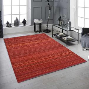 Fiesta Reversible Outdoor Plastic In Red Stripes Rug