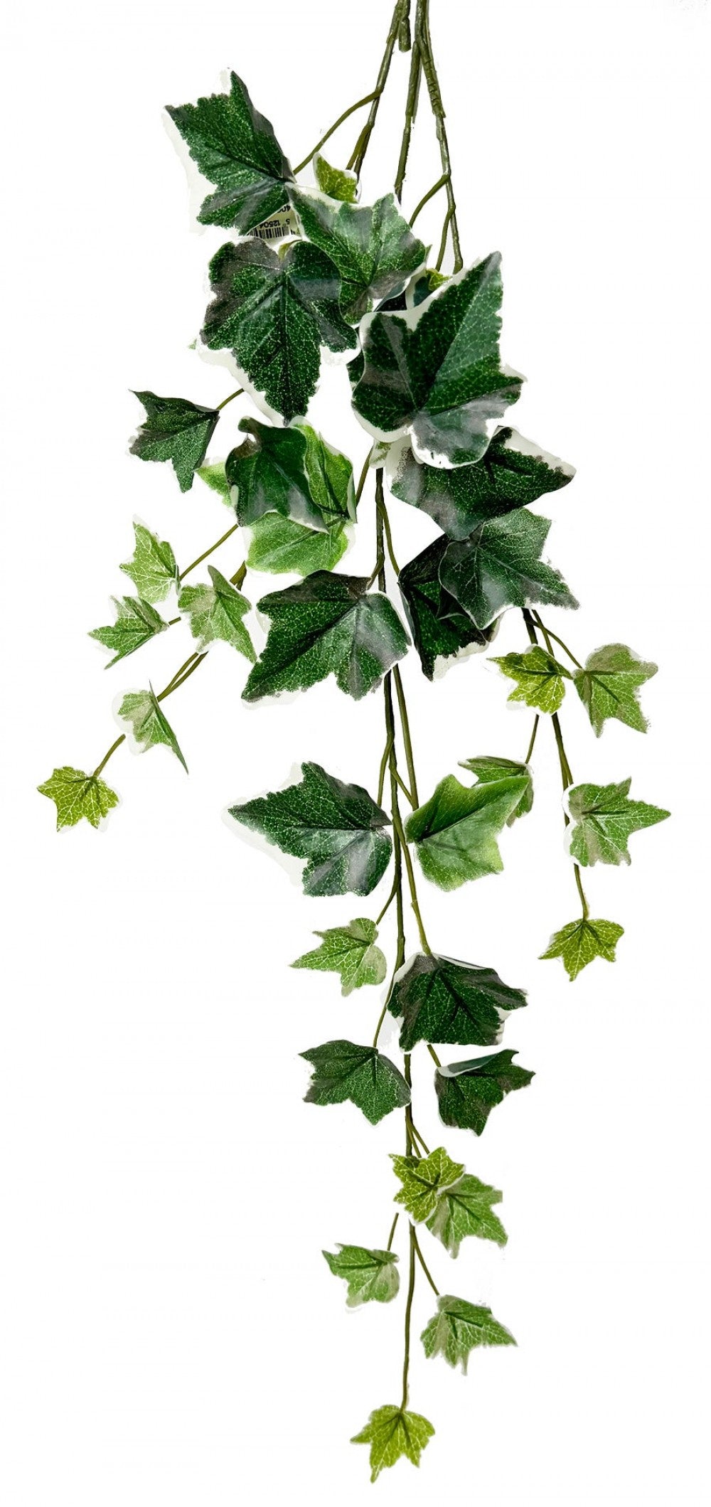 Varigated Green Ivy Spray Faux Plants And Trees