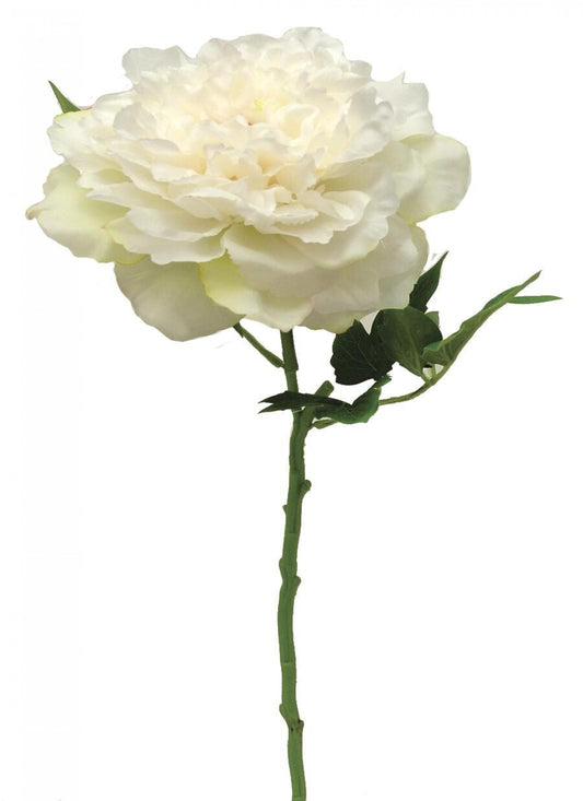 Creamy White Peony Stem Artificial Flower