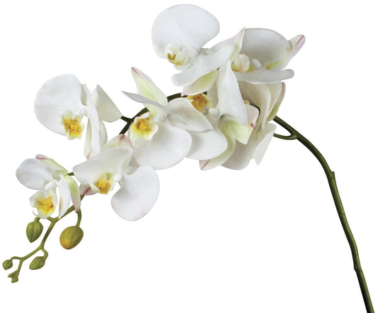 Creamy White Phalenopsis Orchid Artificial Flower