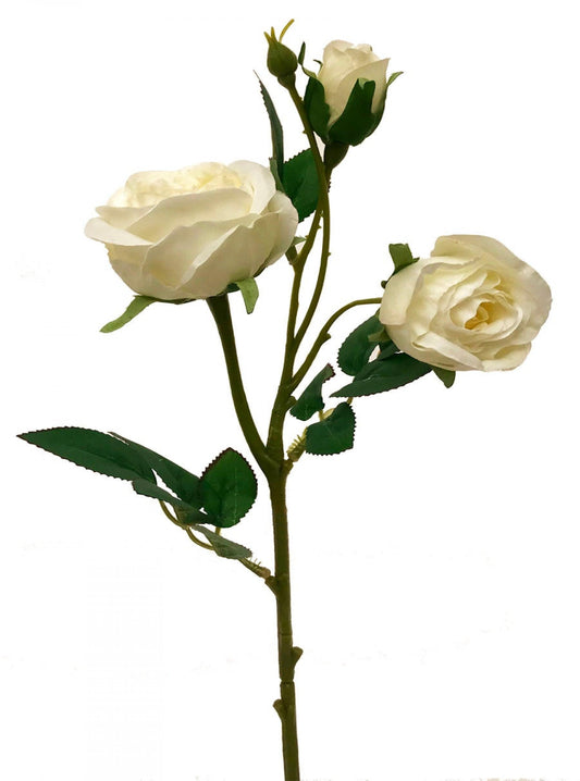 Creamy White English Garden Rose Artificial Flower