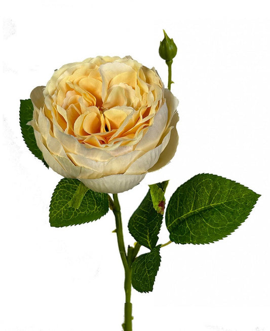 Buttercream English Garden Rose Artificial Flower