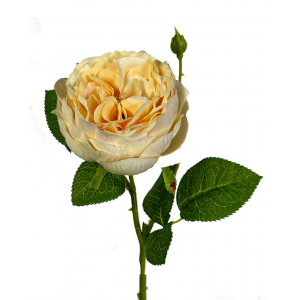 Buttercream English Garden Rose Artificial Flower