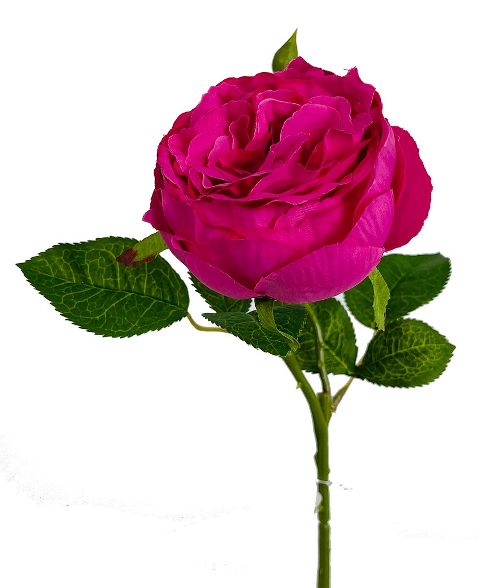 Cerise English Garden Rose Artificial Flower