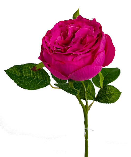 Cerise English Garden Rose Artificial Flower