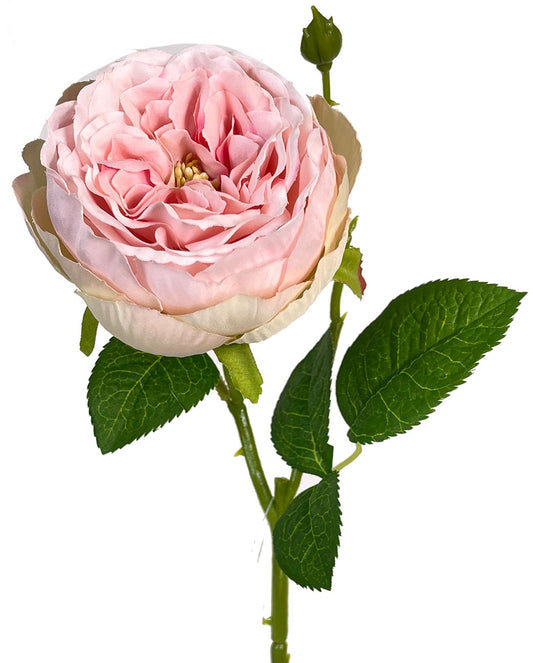 Pink English Garden Rose Artificial Flower