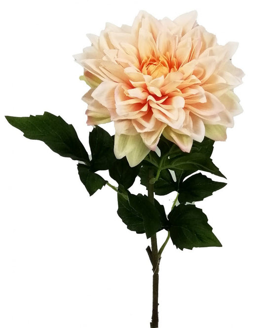 Real Touch Pale Apricot Dahlia Artificial Flower