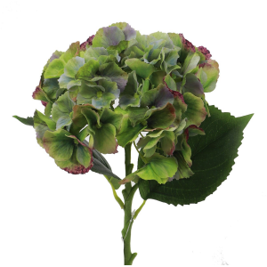 Natural Touch Green Hydrangea Artificial Flower